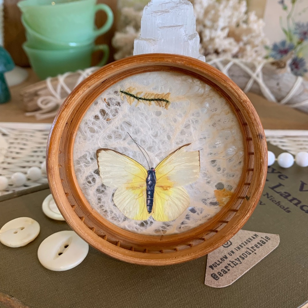 Vintage Butterfly Coaster 🦋 Unique Home Decor / Gift / Retro / Nature / Table - Picture 2 of 7